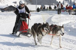 Lenk 2012 SM